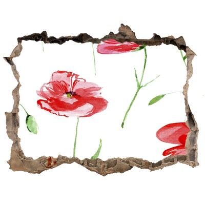 Naklejka 3D dziura na ścianę samoprzylepna Maki