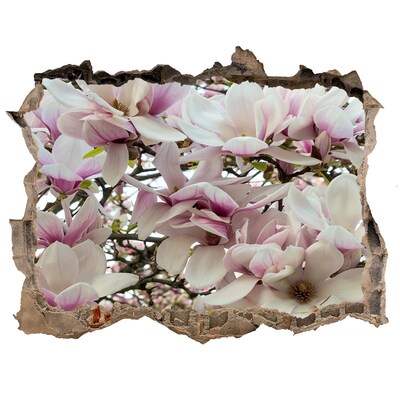 Samoprzylepna naklejka fototapeta Kwiaty magnolii