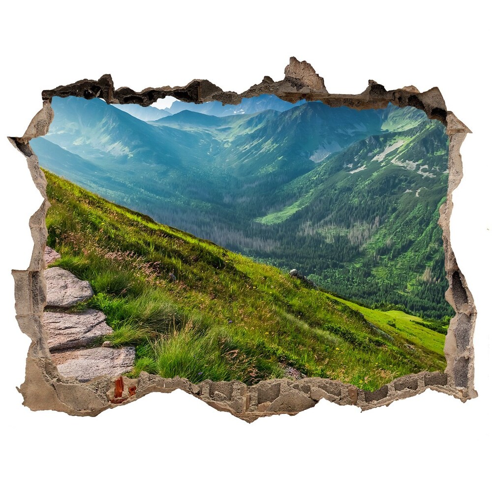 Dziura 3d w ścianie naklejka Ścieżka w Tatrach