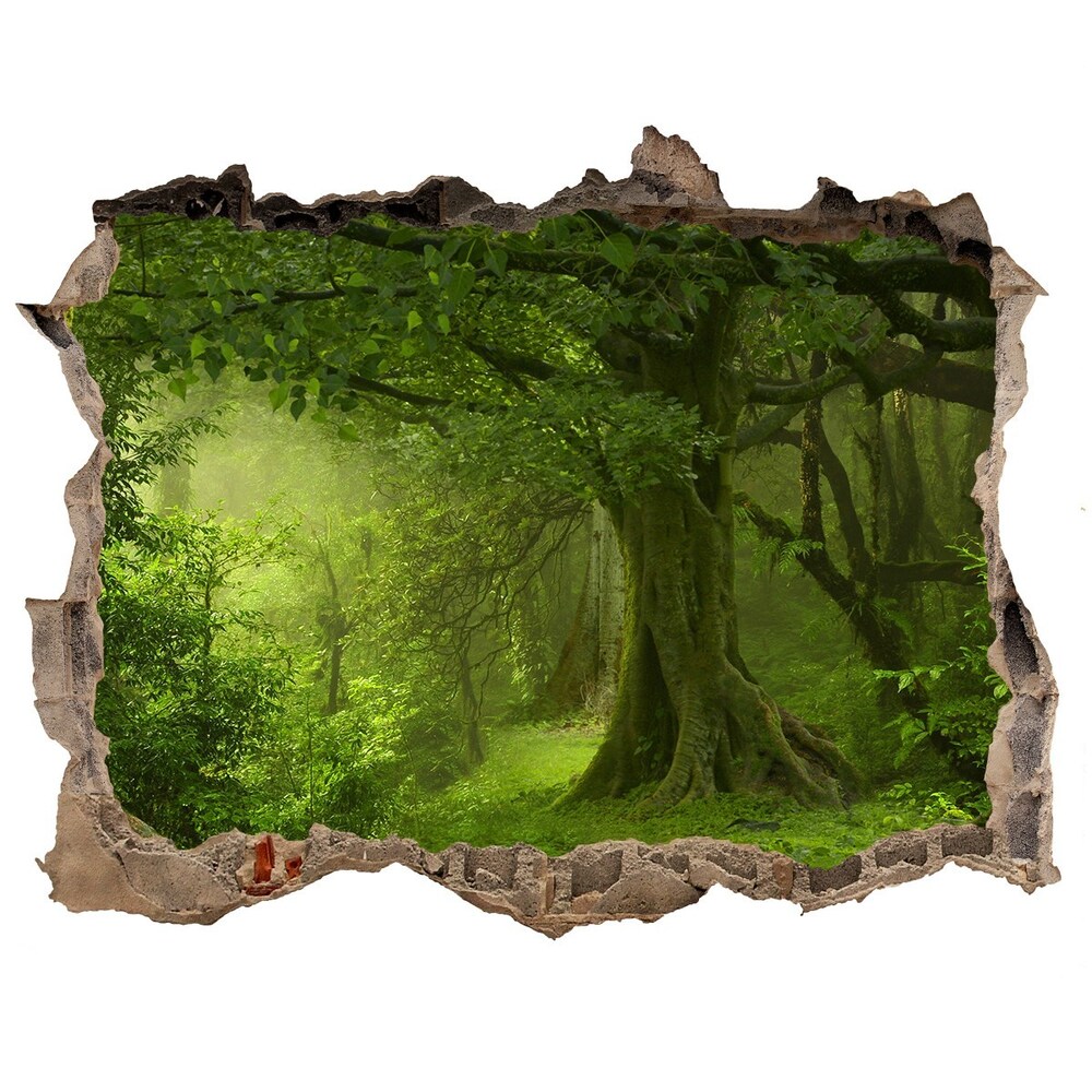 Dziura 3d w ścianie naklejka Tropikalna dżungla