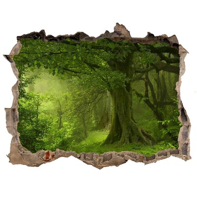 Dziura 3d w ścianie naklejka Tropikalna dżungla