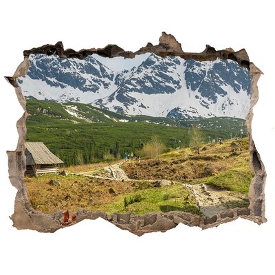 Dziura 3d w ścianie na ścianę Hale Tatry