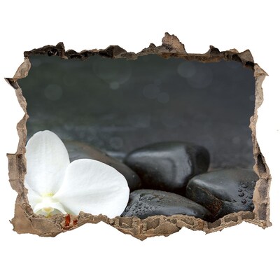 Samoprzylepna naklejka fototapeta Orchidea