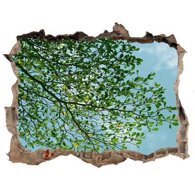 Dziura 3d w ścianie naklejka Liście na niebie