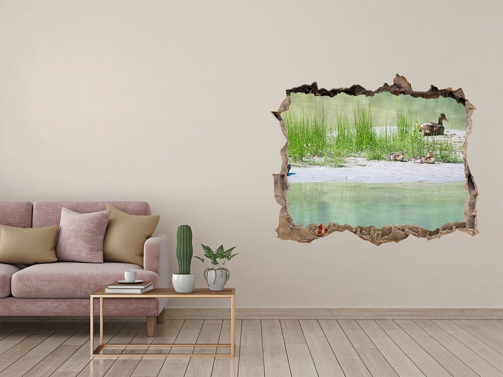 Dziura 3d fototapeta naklejka Kaczki nad wodą