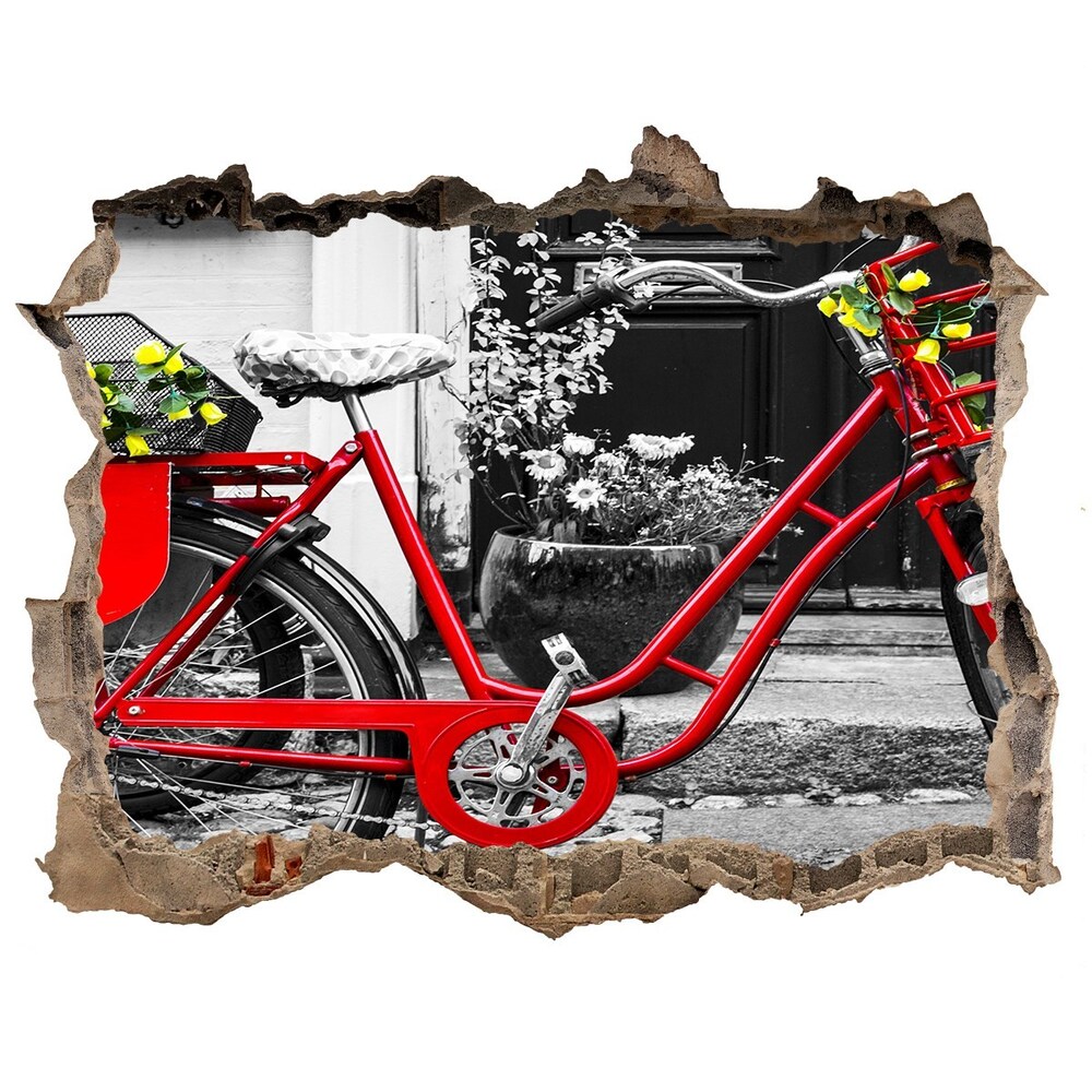 Fototapeta dziura na ścianę Rower miejski
