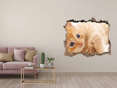 Dziura 3d fototapeta naklejka Rudy kot