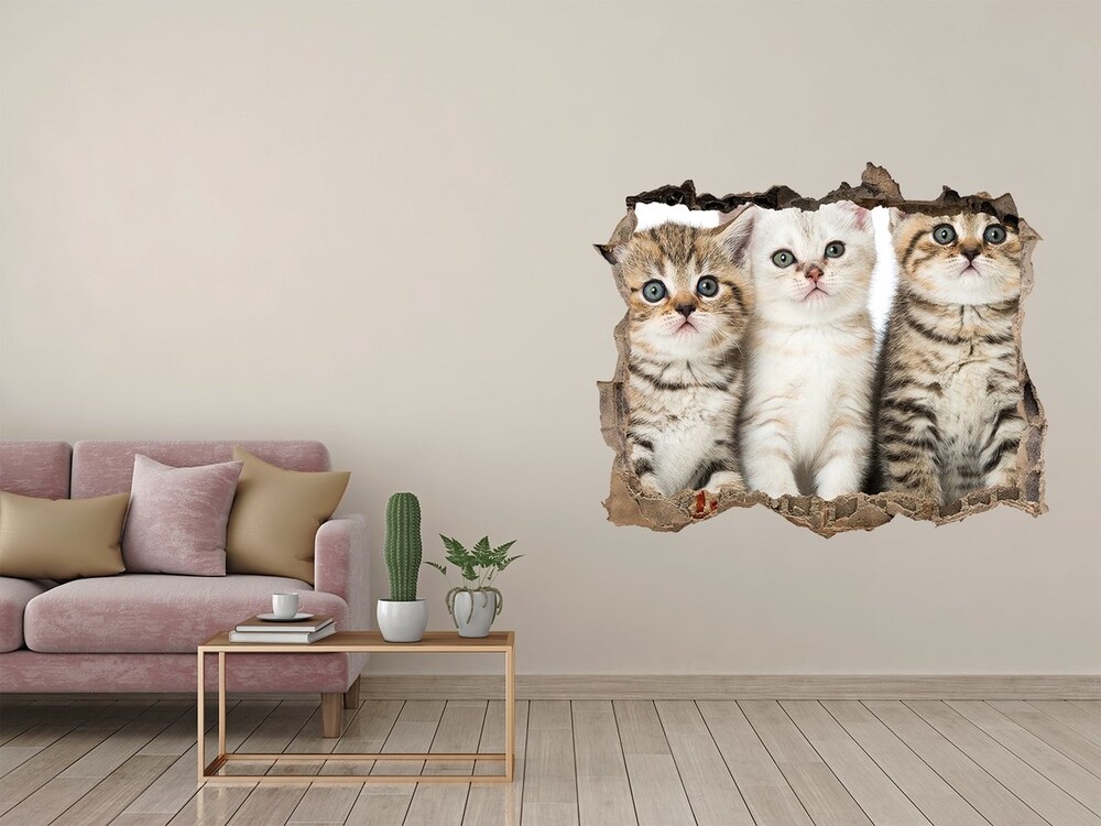 Dziura 3d fototapeta naklejka Małe koty