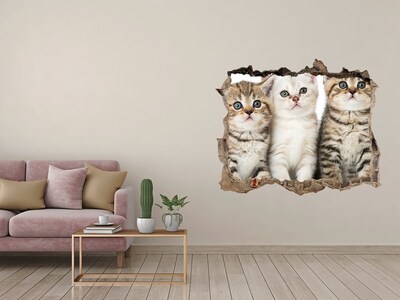 Dziura 3d fototapeta naklejka Małe koty
