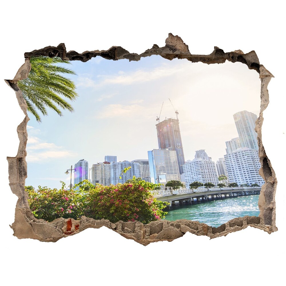 Fototapeta dziura na ścianę 3d Miami USA