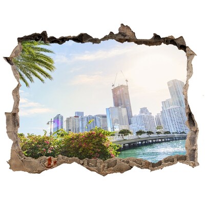 Fototapeta dziura na ścianę 3d Miami USA