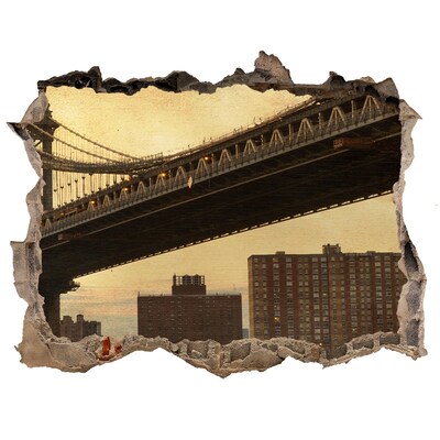 Fototapeta dziura na ścianę 3d Manhattan Nowy Jork