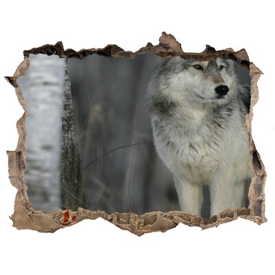 Dziura 3d fototapeta na ścianę Szary wilk