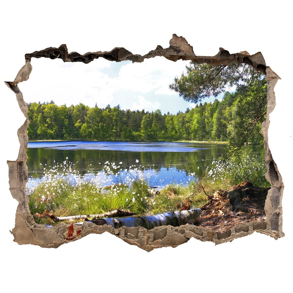 naklejka fototapeta 3D na ścianę Leśna panorama