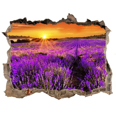 naklejka fototapeta 3D widok Pole lawendy