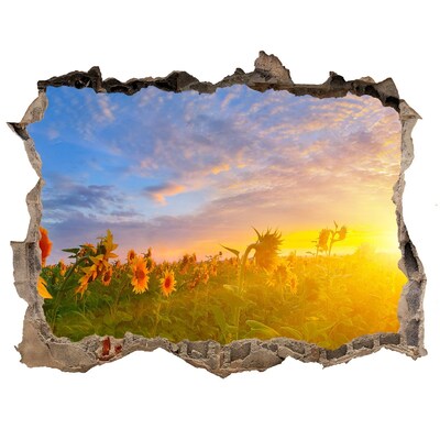 naklejka fototapeta 3D Pole słoneczników