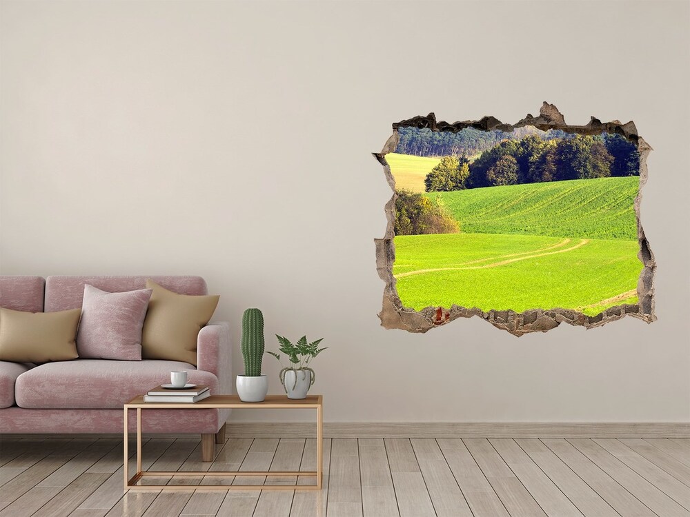 naklejka fototapeta 3D widok Polna droga