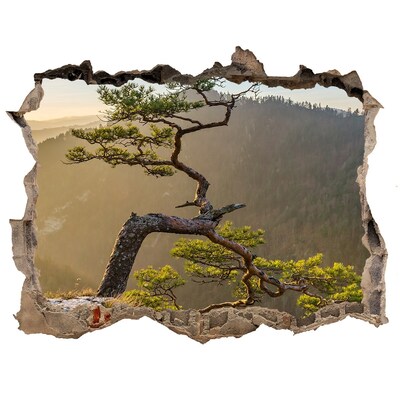 naklejka fototapeta 3D widok Sokolica Pieniny