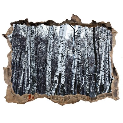 naklejka fototapeta 3D widok Brzozy zimą