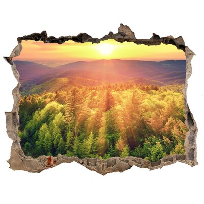 naklejka fototapeta 3D Las zachód słońca
