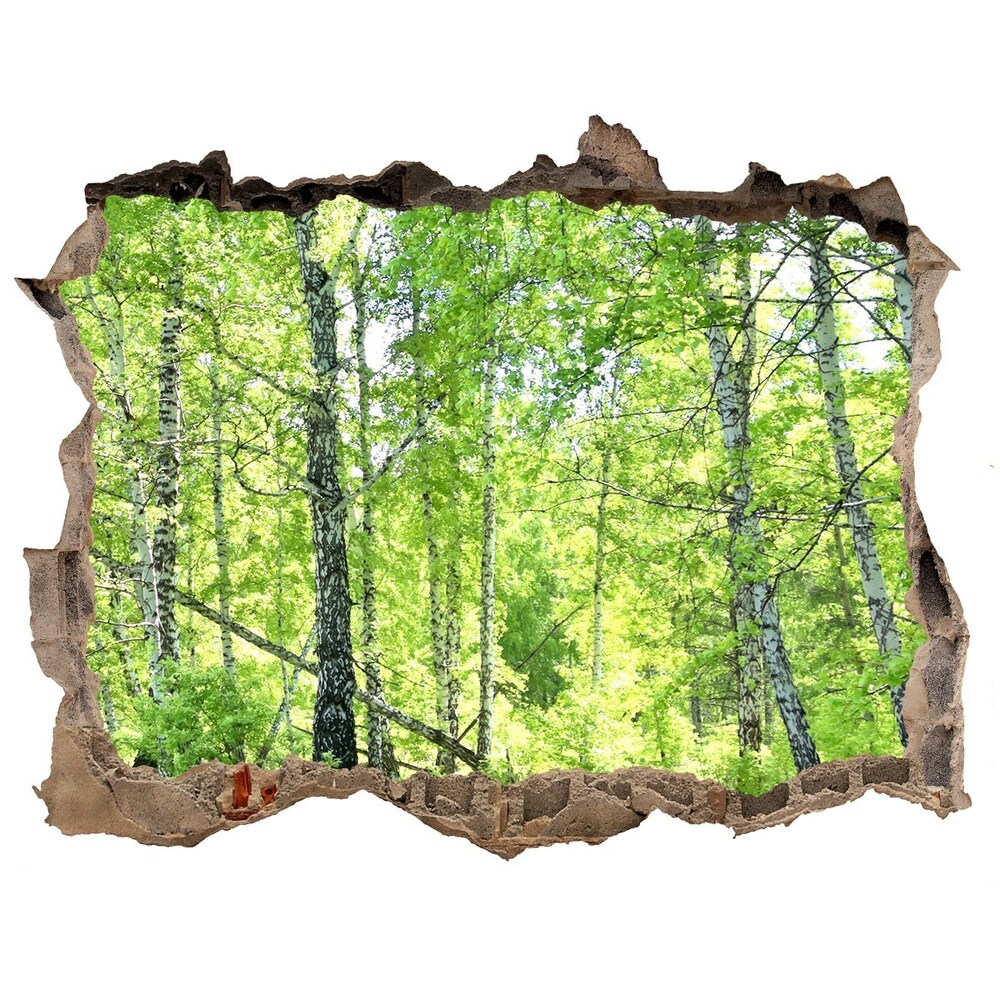Samoprzylepna dziura naklejka Las brzozowy
