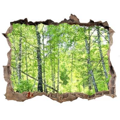 Samoprzylepna dziura naklejka Las brzozowy
