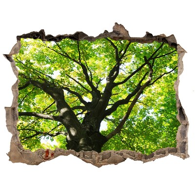 Samoprzylepna dziura na ścianę Zielony las