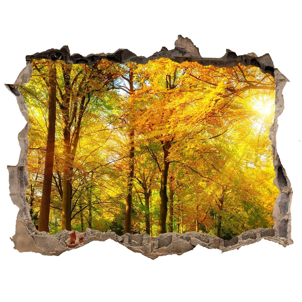 naklejka fototapeta 3D widok Las jesienią