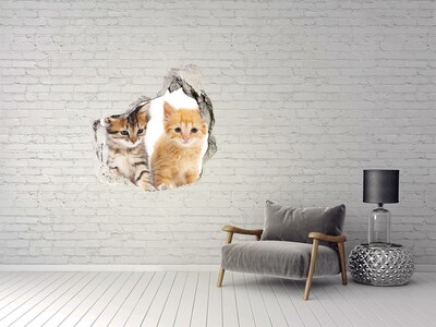Dziura 3d fototapeta na ścianę Brązowy i rudy kot