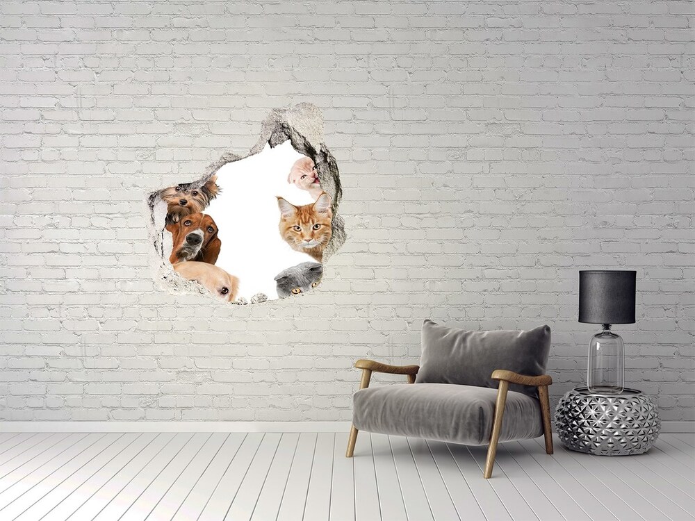 Dziura 3d fototapeta na ścianę Psy i koty