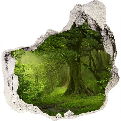 Dziura 3d w ścianie naklejka Tropikalna dżungla