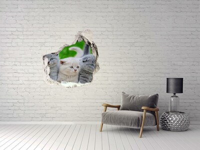 Dziura 3d fototapeta naklejka Trzy koty na kocu