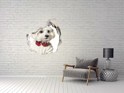 Dziura 3d fototapeta Maltańczyk w muszce