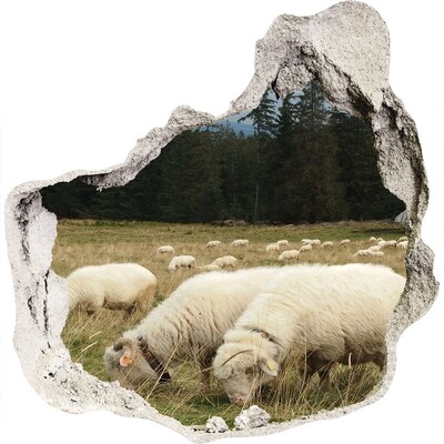 Dziura 3d fototapeta naklejka Pasące się owce