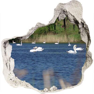 Dziura 3d fototapeta naklejka Białe łabędzie