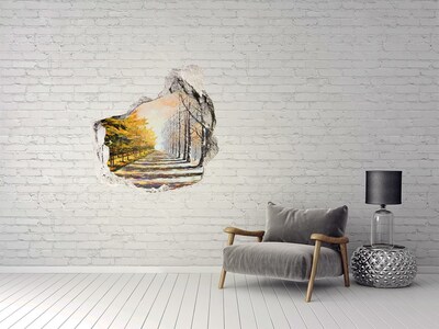 Dziura 3d fototapeta ścienna Jesień kontra zima