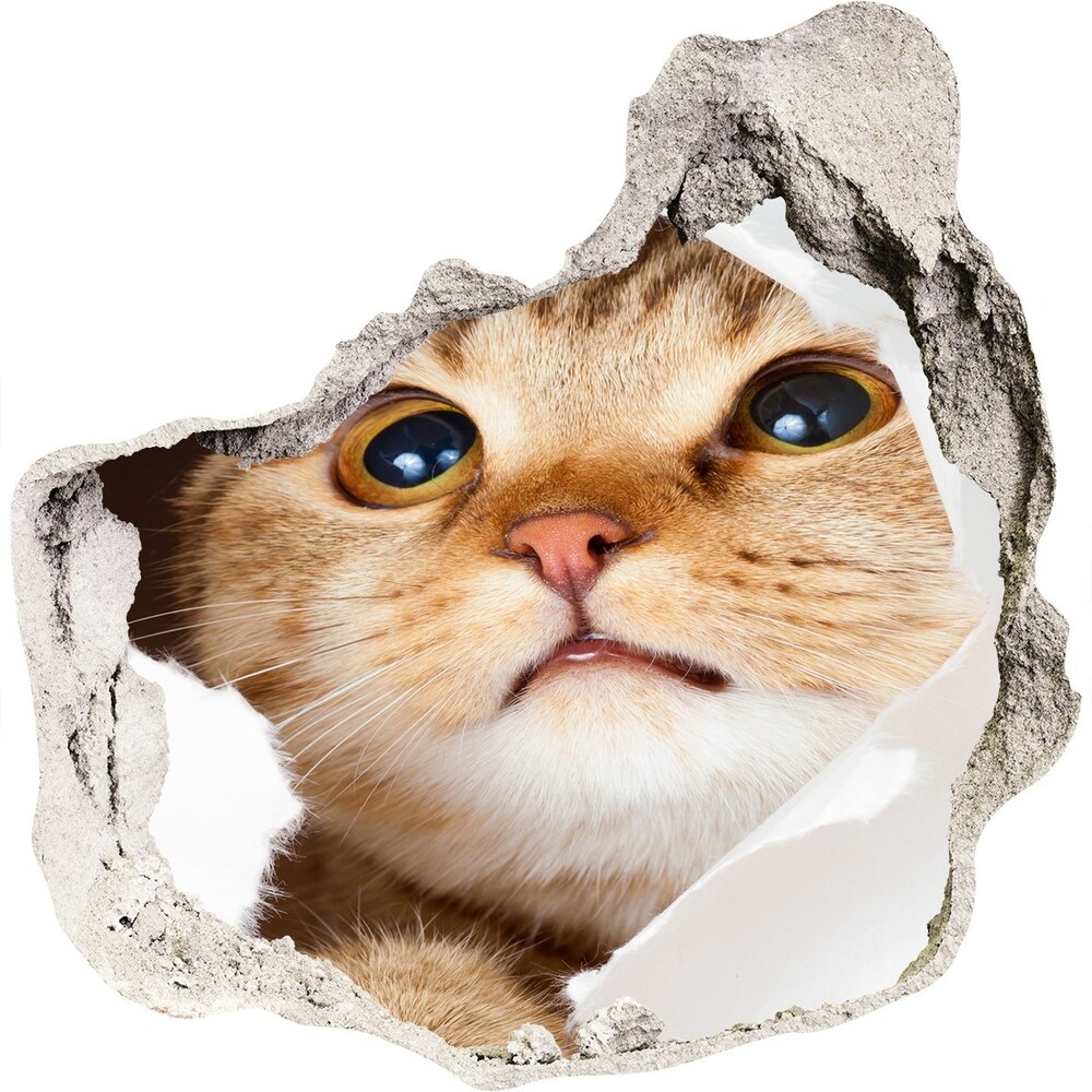 Dziura 3d fototapeta na ścianę Kot w dziurze