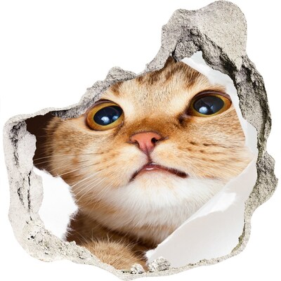 Dziura 3d fototapeta na ścianę Kot w dziurze