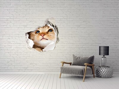 Dziura 3d fototapeta na ścianę Kot w dziurze
