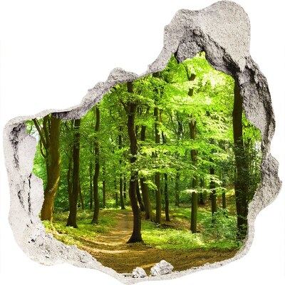 Dziura 3d w ścianie naklejka Leśna ścieżka