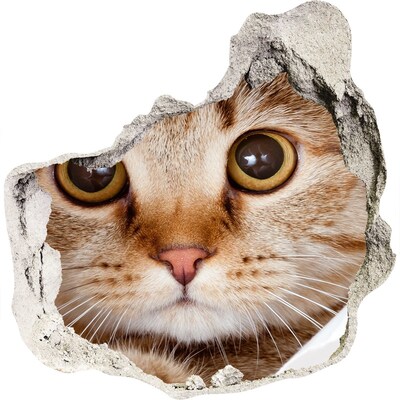Dziura 3d fototapeta naklejka Kot