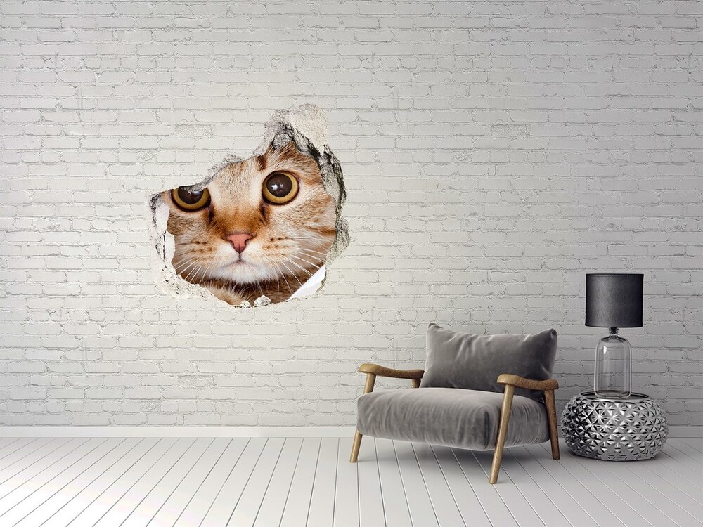 Dziura 3d fototapeta naklejka Kot
