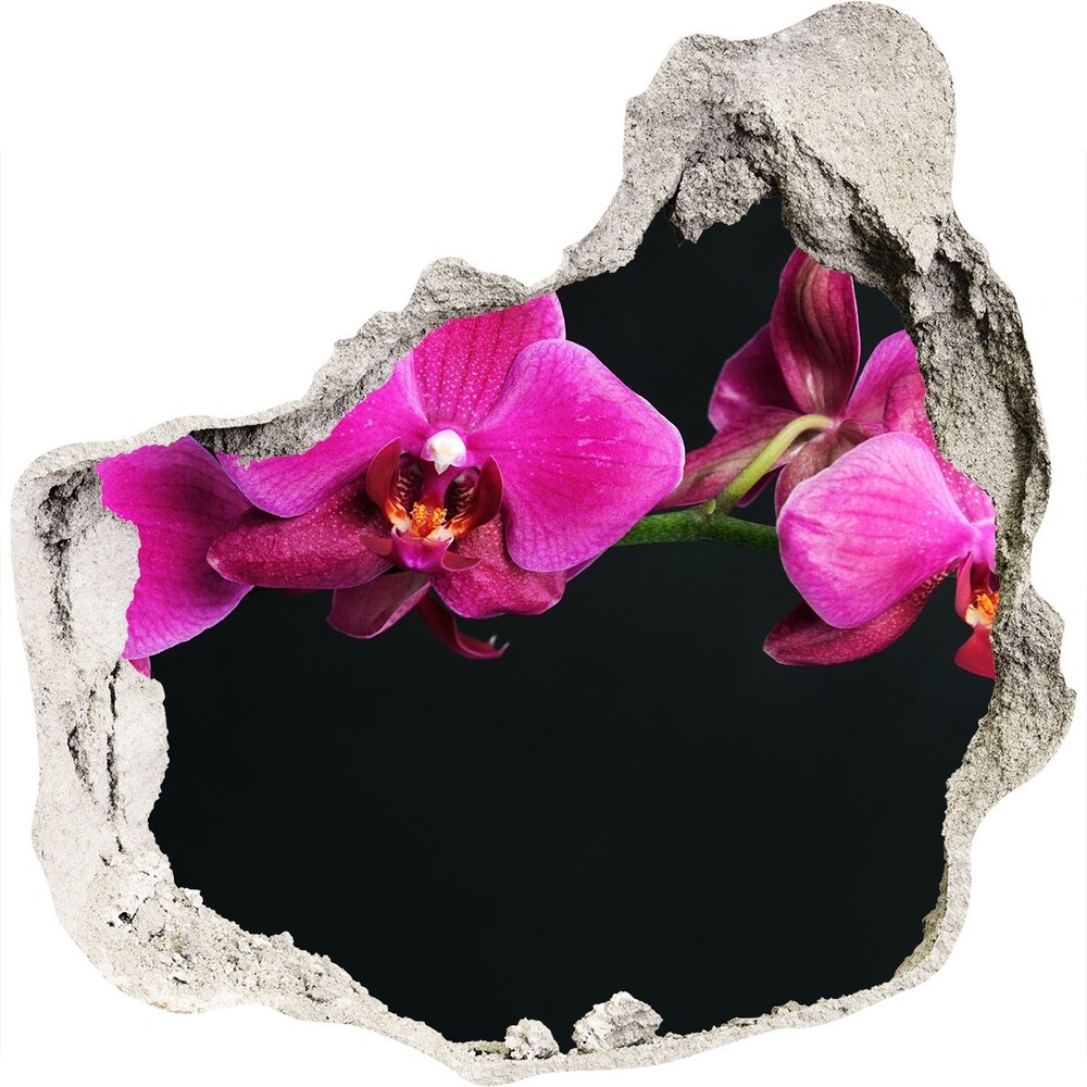 Samoprzylepna dziura naklejka Orchidea