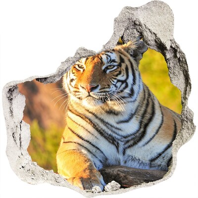 Dziura 3d fototapeta naklejka Portret tygrysa