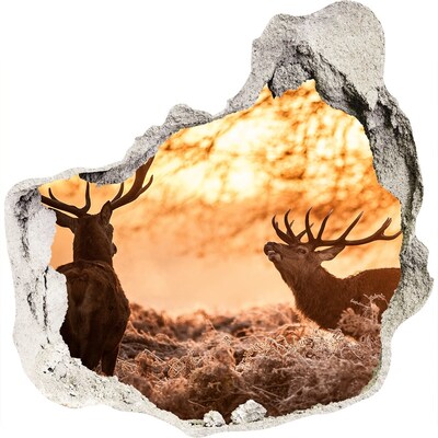 Dziura 3d fototapeta naklejka Jelenie wschód