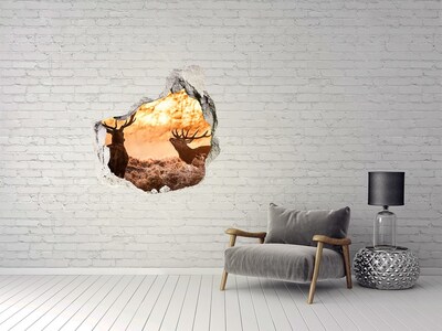 Dziura 3d fototapeta naklejka Jelenie wschód