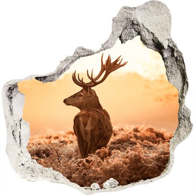 Dziura 3d fototapeta na ścianę Jeleń wschód słońca
