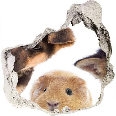 Dziura 3d fototapeta naklejka Zwierzęta domowe