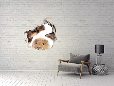 Dziura 3d fototapeta naklejka Zwierzęta domowe