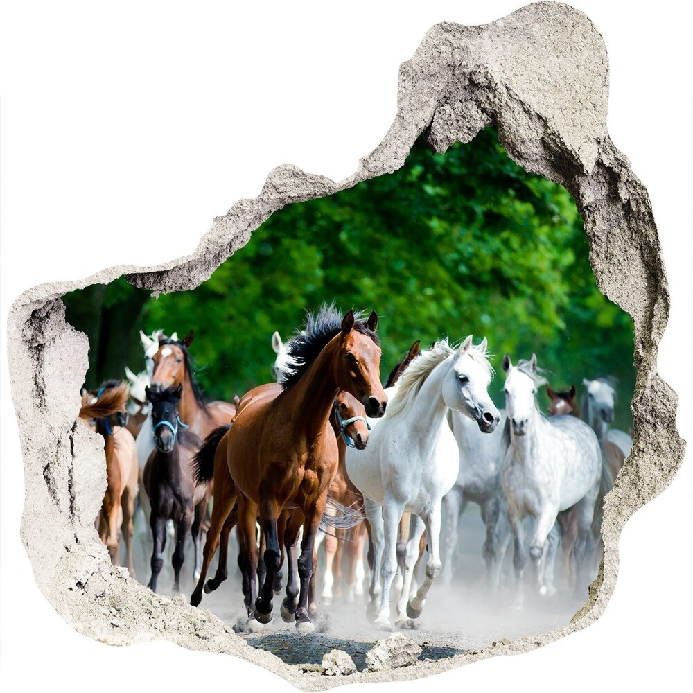 Dziura 3d fototapeta naklejka Konie w galopie